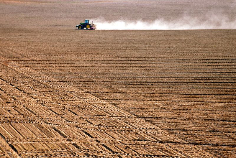 Rotavator